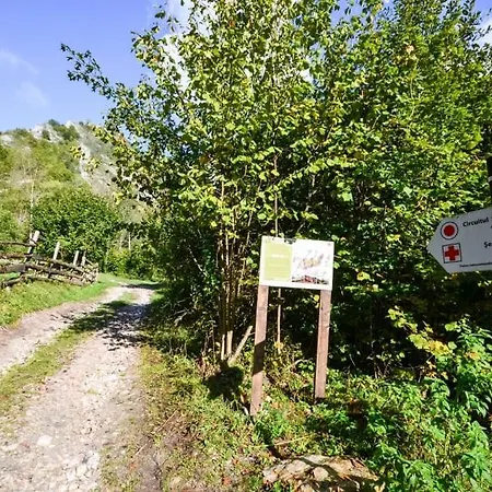Cabana Lena Holiday home *
